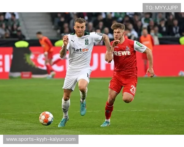 德甲球迷赞助的球队情况及影响力评估 德甲球迷赞助的球队情况及影响力评估